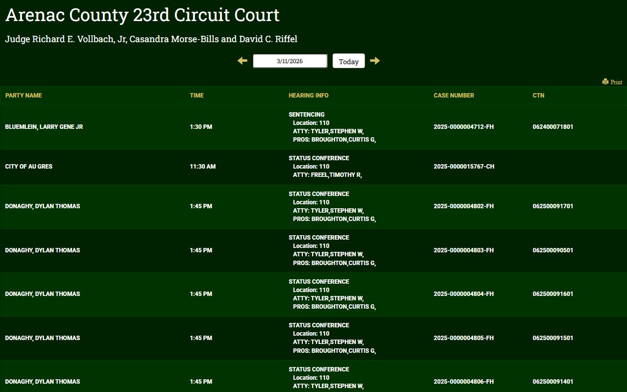 Arenac County court display portal showing case scheduling for Standish Michigan courts